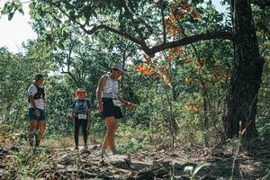 BIB: 
                            <button type="button" onclick="openModal(26114011)" class="btn btn-primary btn-sm float-right btn-popup" data-toggle="modal" data-target=".modal-high-quality">
                        <i class="fas fa-shopping-cart"></i> Add to Cart
                    </button>
                                            <button type="button" onclick="isThisMe(26114011, true)" class="btn btn-success btn-sm float-right btn-popup btn-isme hidden" data-toggle="tooltip" data-placement="bottom" title="นี่คือรูปของคุณใช่ไหม คลิกที่นี่เพื่อเอาเข้าอัลบั้ม">
                        <i class="fas fa-plus"></i> Add to album
                    </button>
                    <button type="button" onclick="isThisMe(26114011, false)" class="btn btn-warning btn-sm float-right btn-popup btn-isnotme hidden">
                        <i class="fas fa-ban"></i> Remove from album
                    </button>